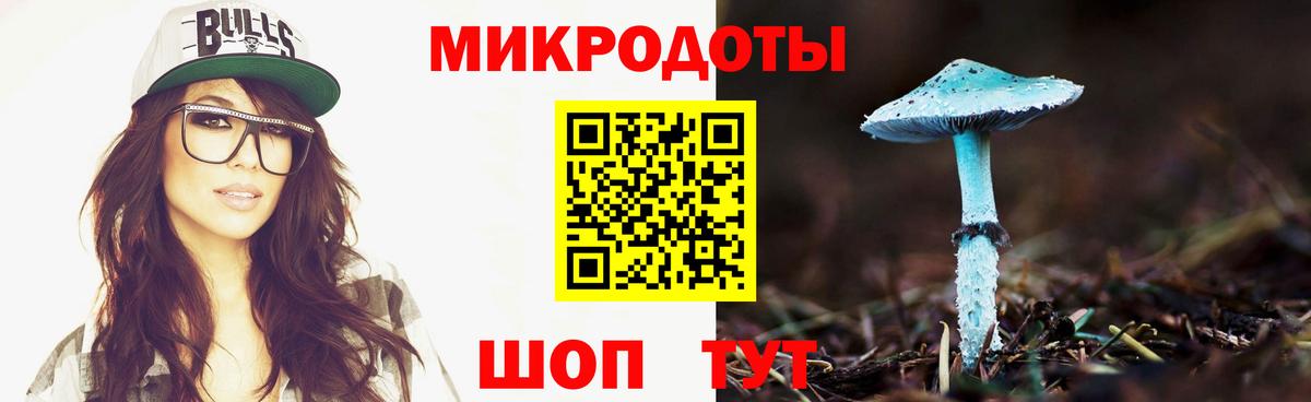купить   Галлюциногенные грибы мицелий  Вход с VPN  Борзя 